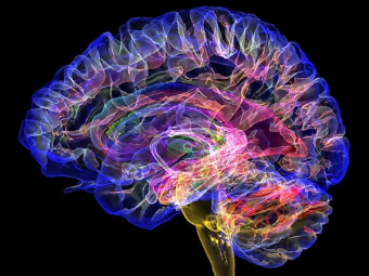 肏逼站网大脑植入物有助于严重头部损伤恢复